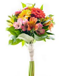 bouquet of gerberas and alstroemerias