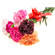 Mixed Color Carnations. Russia